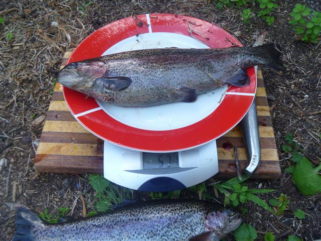 P1010452 (Small).JPG