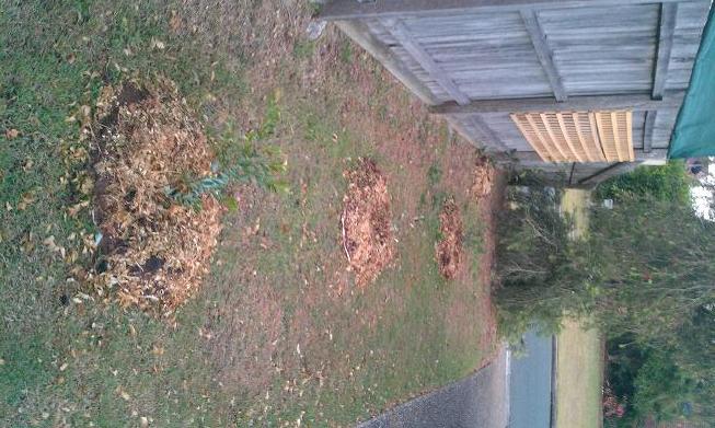 frontyard natives1.jpg