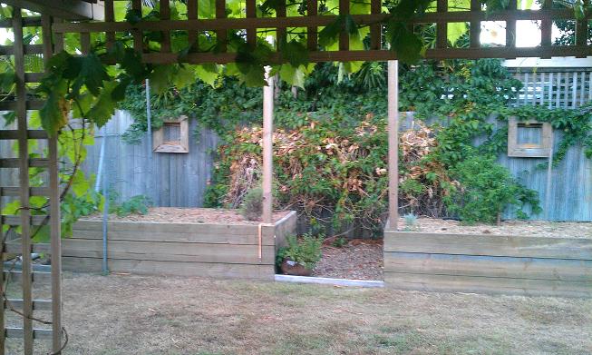 raised beds.jpg