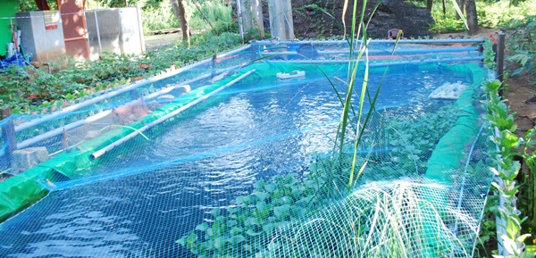 NARDC-1 the pond.JPG