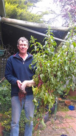 IMAG0034 (Small).jpg