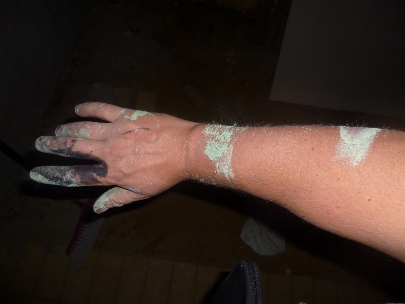 P1020162 (800x600).jpg