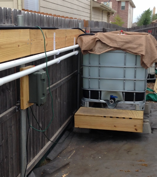 IMG_1102 (535x600).jpg