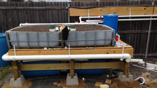 IMG_1098 (600x336).jpg