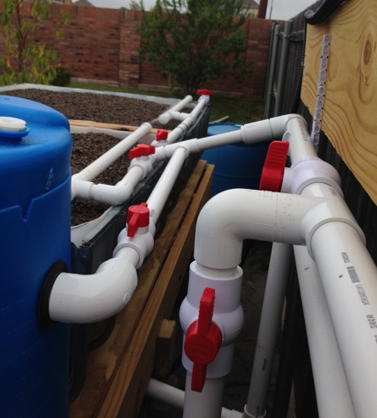 IMG_1100 (541x600).jpg