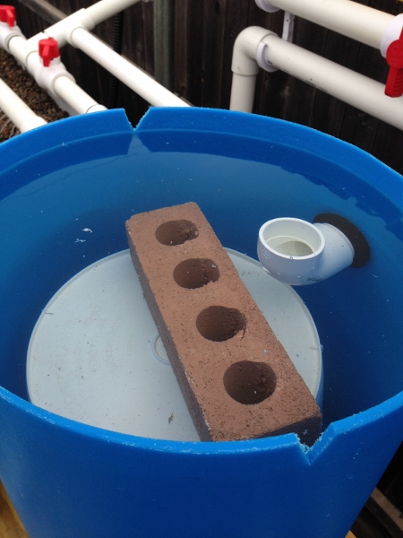 IMG_1101 (450x600).jpg