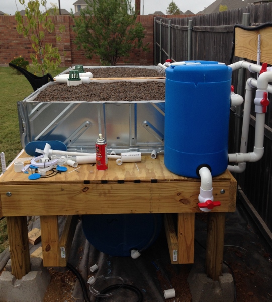 IMG_1099 (541x600).jpg