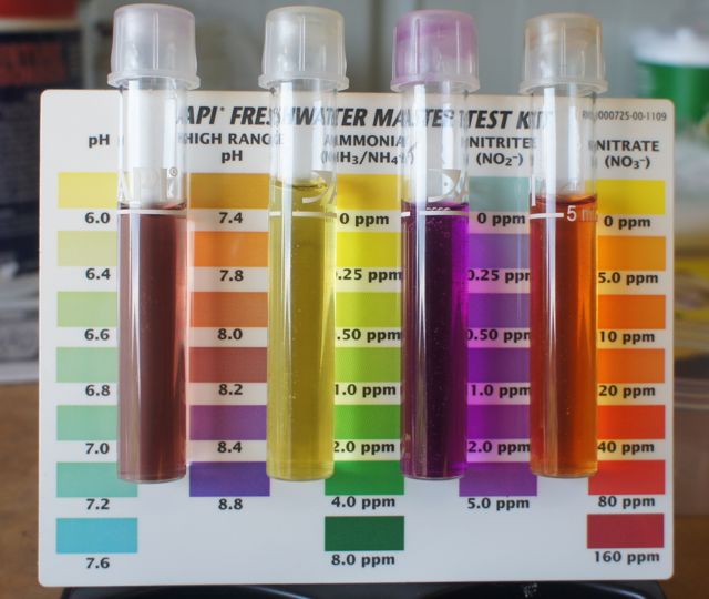 API Measure 13 Oct 13.jpg