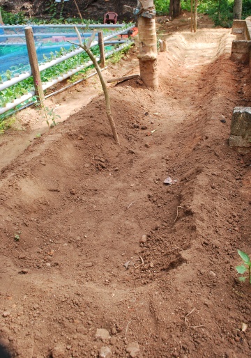 NARDC Rectangular Growbed Construction.JPG