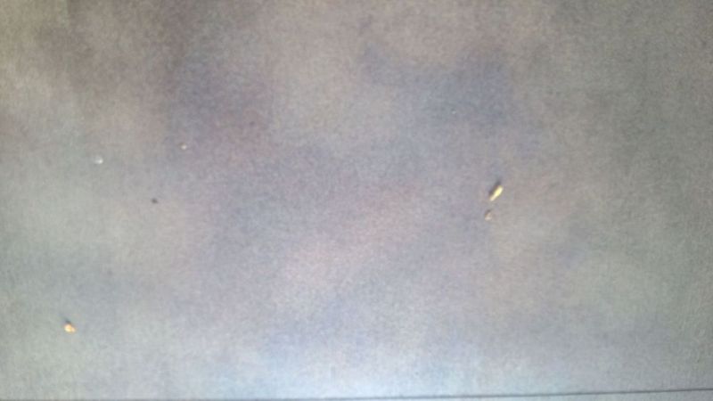 concrete stained.jpg