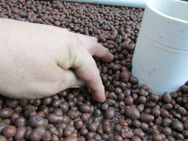 level adjustment.jpg