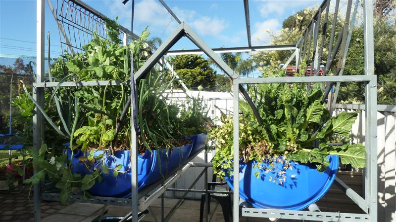 P1040088 (Medium).JPG