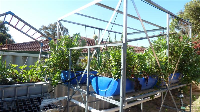 P1040116 (Medium).JPG