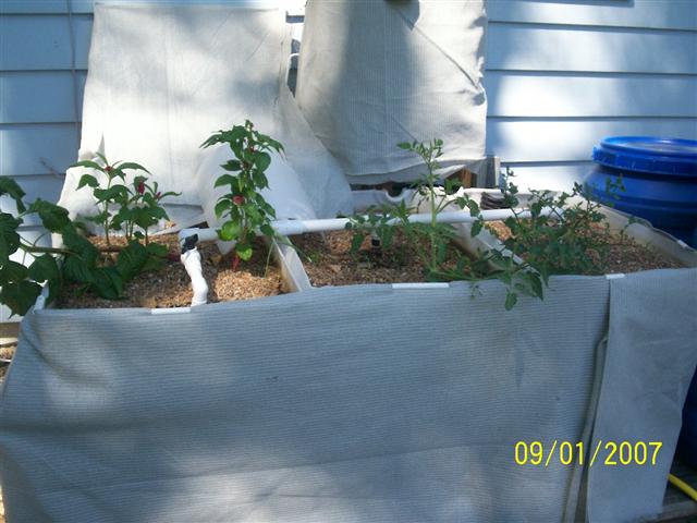 100_0190 (Small).jpg