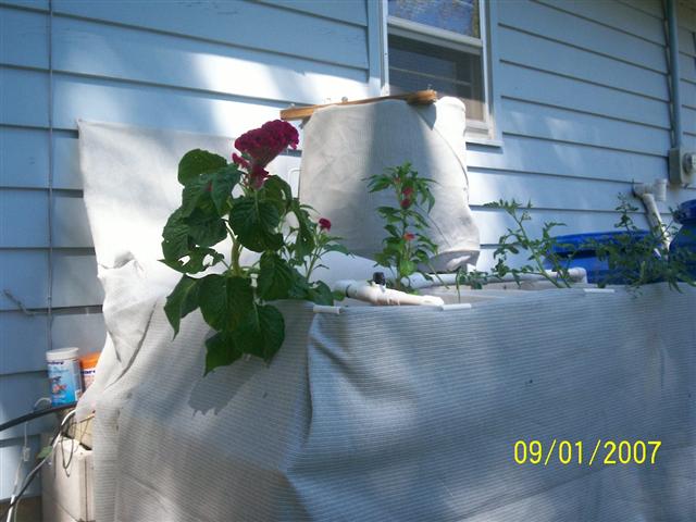 100_0189 (Small).jpg