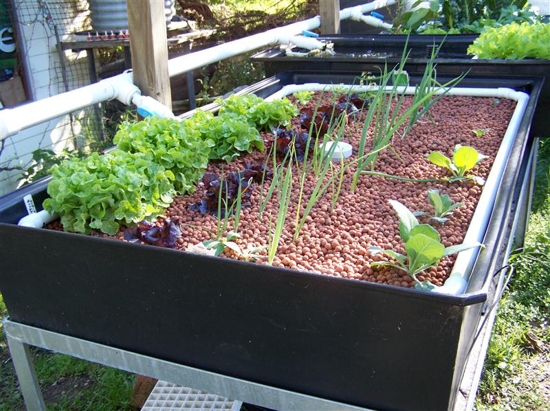 100_7203 (Custom).JPG