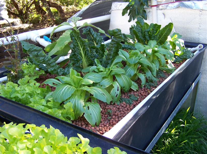 100_7204 (Custom).JPG