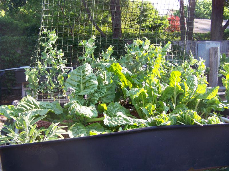 100_7644 (Custom).JPG