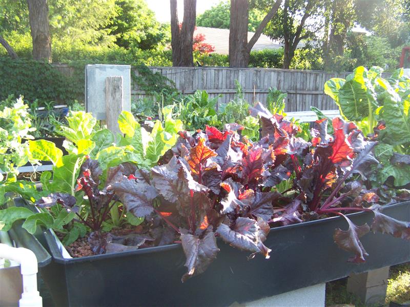 100_7645 (Custom).JPG