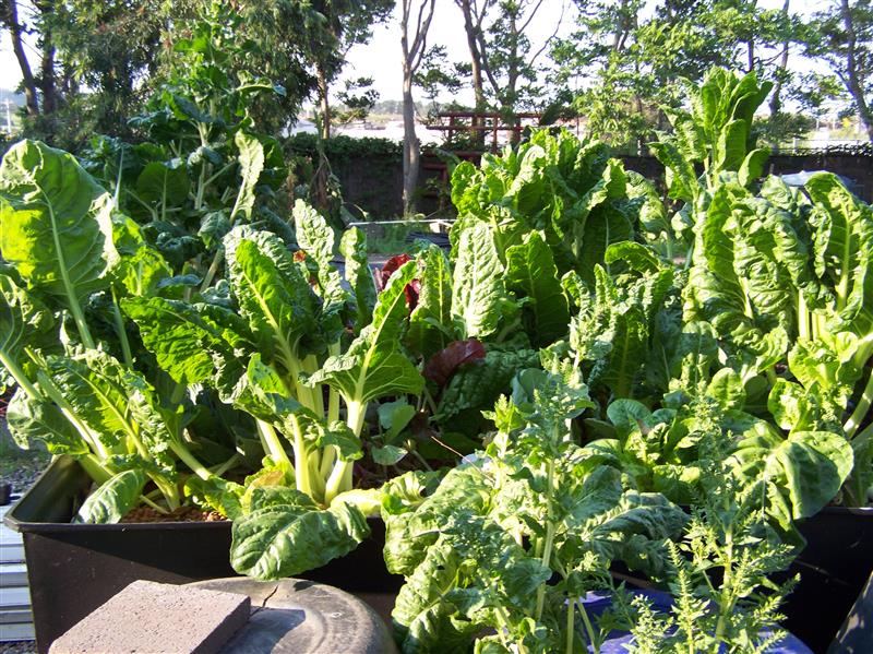 100_7649 (Custom).JPG