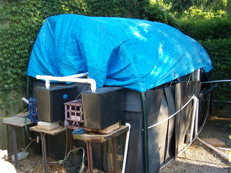 100_7655 (Custom).JPG