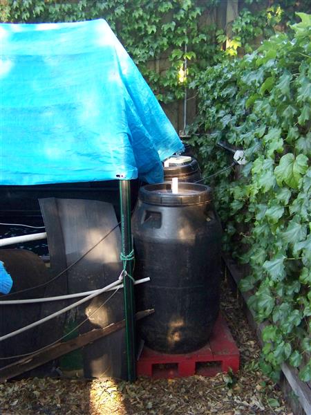 100_7657 (Custom).JPG