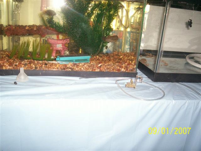 100_0199 (Small).jpg