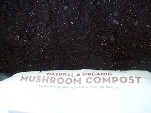mix in mushroom compost.jpg