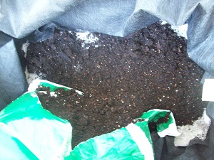 potting mix.jpg