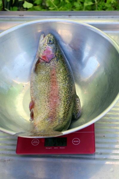 IMGP3258 (Custom).JPG