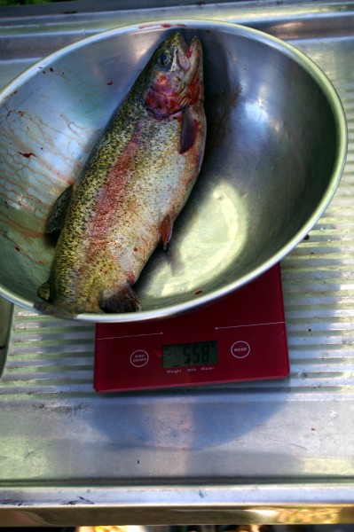 IMGP3259 (Custom).JPG