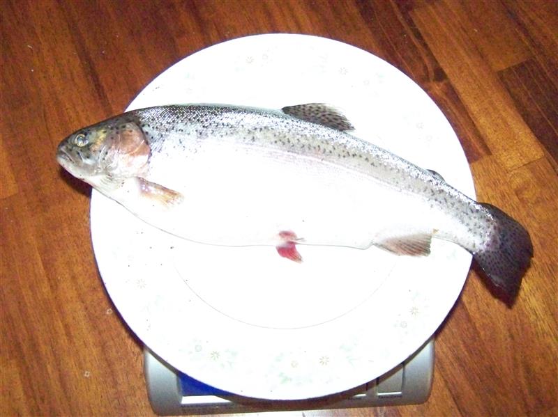 100_7661 (Custom).JPG