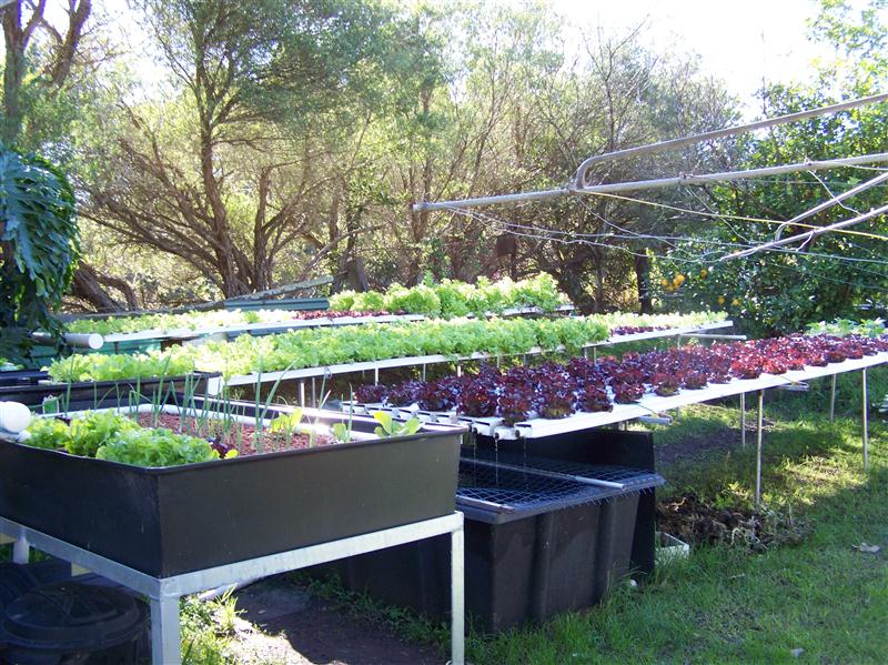 100_7202 (Custom).JPG