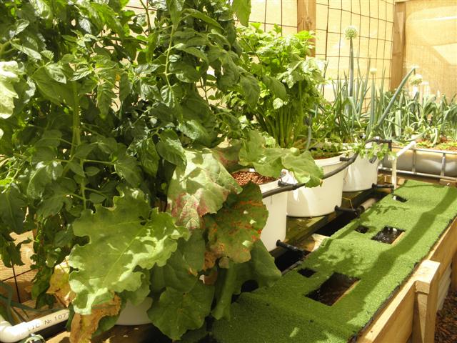 PA200142 (Small).JPG