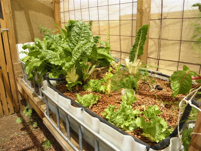 PA200144 (Small).JPG