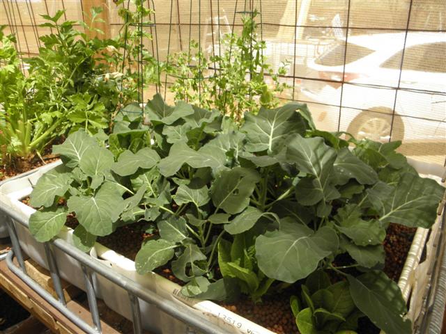 PA200146 (Small).JPG