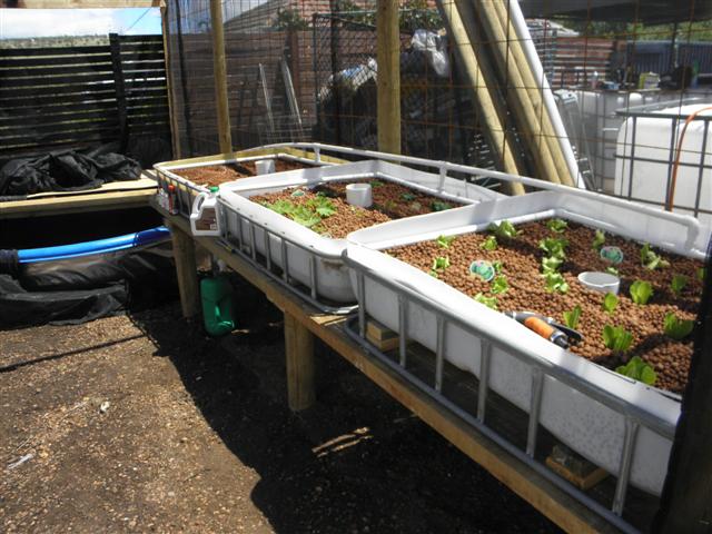 PA200149 (Small).JPG