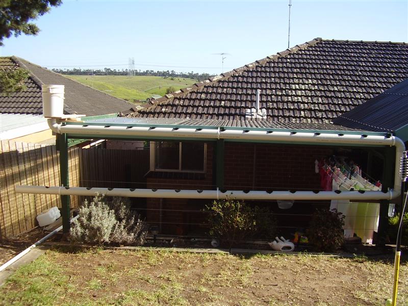 P9020026 (Medium).JPG