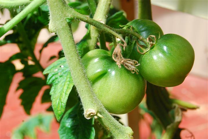 DSC_0331 (Small).JPG