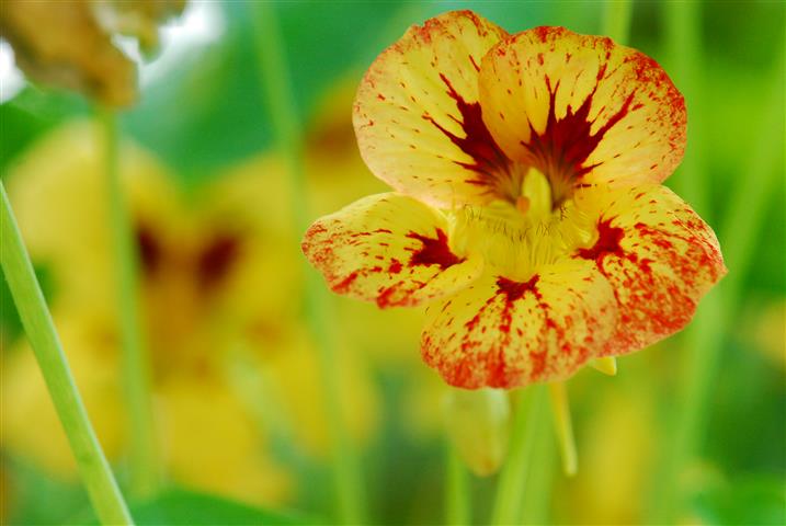 DSC_0286 (Small).JPG