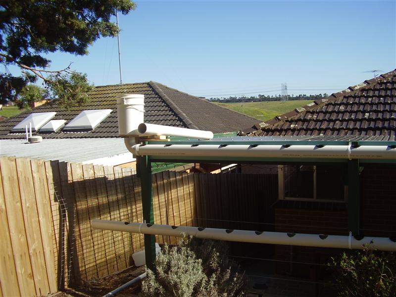 P9020029 (Medium).JPG