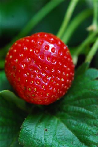 DSC_0278 (Small).JPG