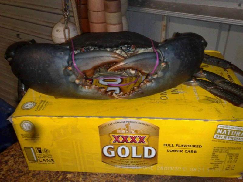 Resize of Muddy a.jpg