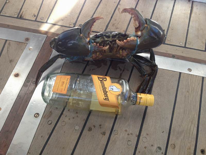 Resize of Muddy b.jpg