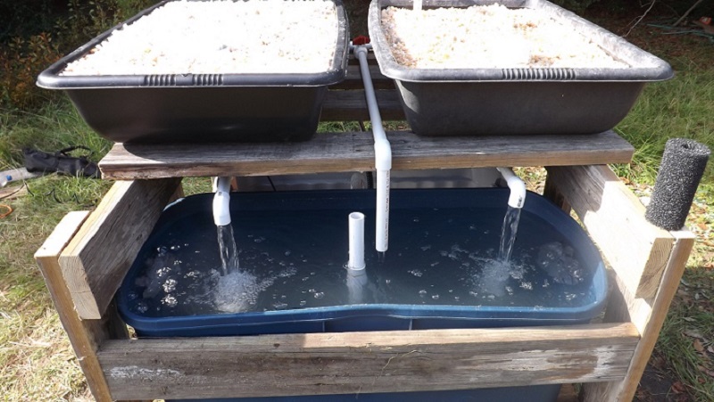 AquaPonics Prototype 5.JPG