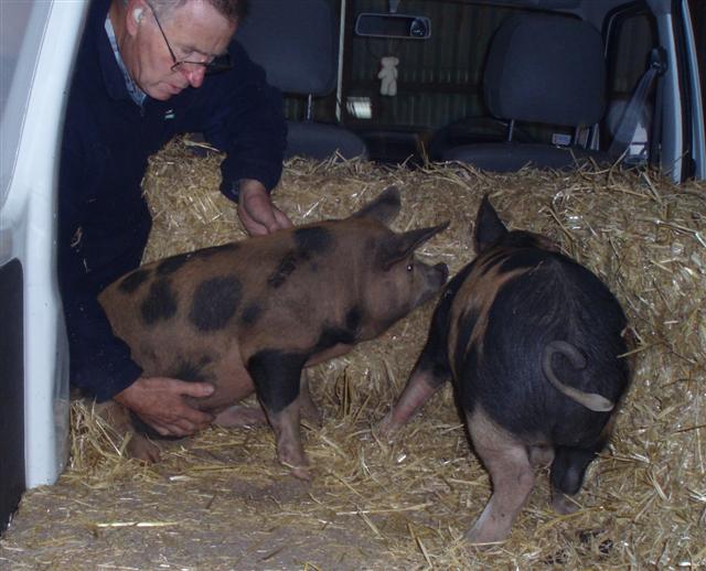 outyouget (Small).jpg