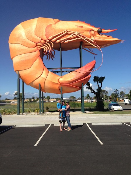 ballina prawn.jpg