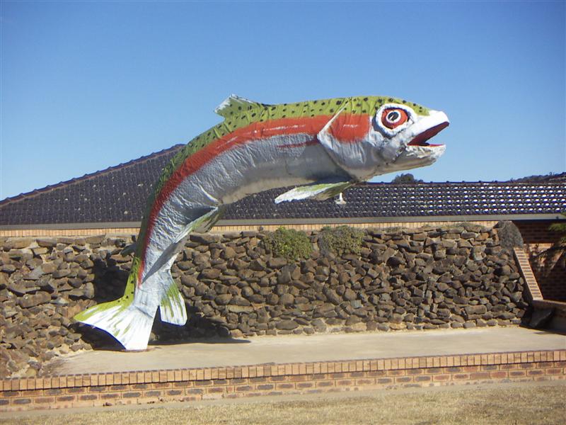 IMG0115 (Medium).JPG