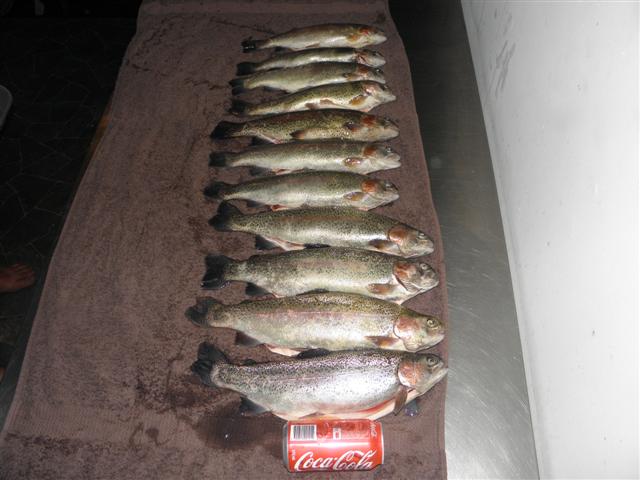 PA290158 (Small).JPG