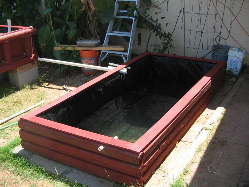 Aquaponic-Build-Pond.jpg